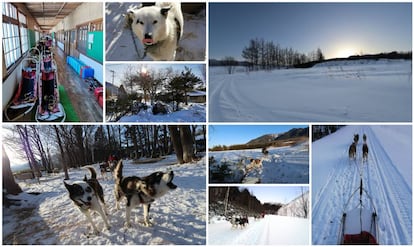 Por las llanuras de Engaru (Hokkaido).