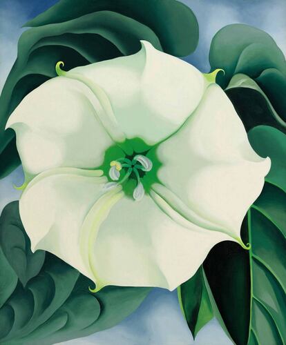 El cuadro 'Jimson Weed/White Flower No 1' (1932), de Georgia O'Keeffe.