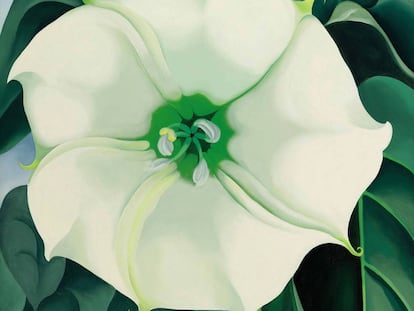 El cuadro 'Jimson Weed/White Flower No 1' (1932), de Georgia O'Keeffe.