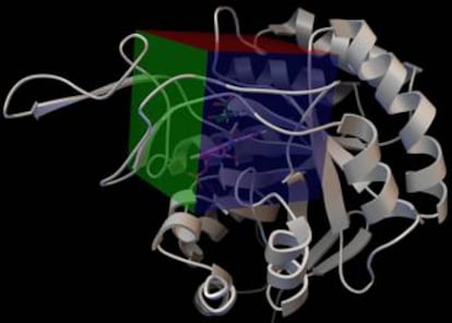 En esta figura se muestra la estructura de una proteína donde se ha creado una caja virtual donde las moléculas de interés bailan con ese lugar de la proteína. Normalmente, éste corresponde a los sitios activos o reguladores de las enzimas.
