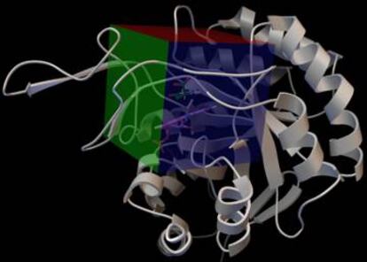 En esta figura se muestra la estructura de una proteína donde se ha creado una caja virtual donde las moléculas de interés bailan con ese lugar de la proteína. Normalmente, éste corresponde a los sitios activos o reguladores de las enzimas.