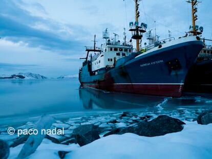 Crónicas desde el Cabo Norte: ¡es un cangrejo, no un alien!