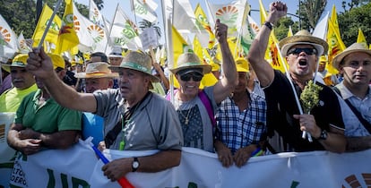 Olivareros andaluces protestan por los precios del aceite de oliva en origen, en Sevilla.