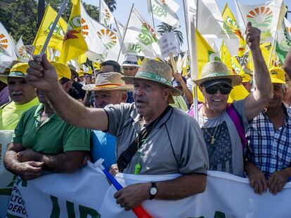 Olivareros andaluces protestan por los precios del aceite de oliva en origen, en Sevilla.