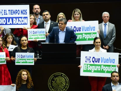 Román Cifuentes Negrete junto a otros diputados federales del PAN durante la sesión respecto a la Ley General de Salud, este martes en Ciudad de México.