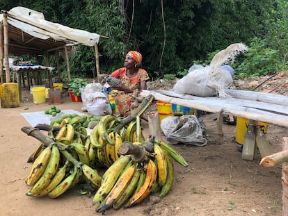 Una mujer vende piñas y bananas en el mercado de Yangambi.