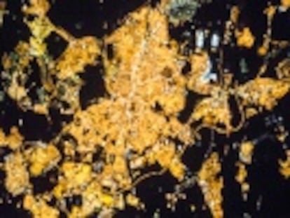 Un proyecto español utiliza las fotografías de la Estación Espacial Internacional para obtener datos sobre la iluminación nocturna de las ciudades.