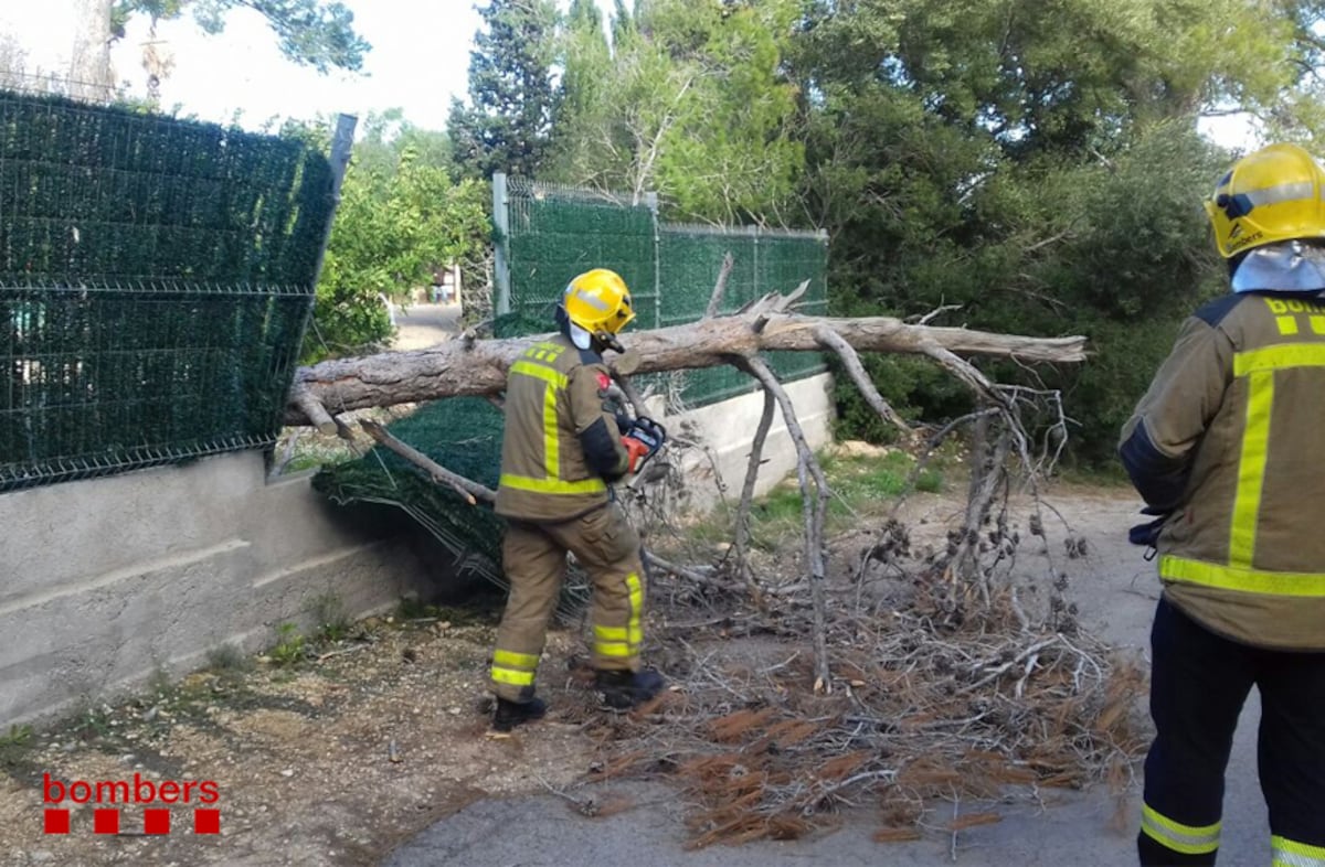 Tres personas heridas en Lleida y otras tres en Girona a causa del temporal de viento que azota Cataluña