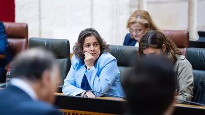 La consejera andaluza de Salud, Catalina García, durante el pleno en el que se solicitaba su reprobación. / EP