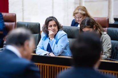 La consejera andaluza de Salud, Catalina García, durante el pleno en el que se solicitaba su reprobación. / EP