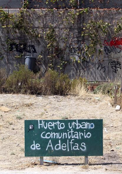 Ante el éxito en el barrio, el huerto urbano de Adelfas amplió su espacio.