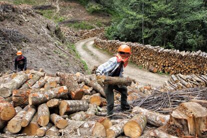 Los guardabosques, que son habitantes de la misma comunidad, hacen el acomodo de los troncos provenientes de bosques nativos o plantaciones manejados en forma responsable, bajo principios y criterios que buscan el balance ecológico, económico y social. Las empresas que los elaboran pasaron por un proceso de certificación ante el Consejo de Manejo Forestal (FSC por sus siglas en inglés). 