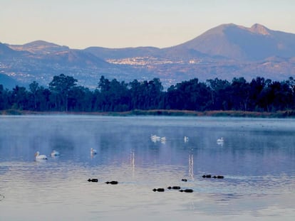 Parque Ecológico de Xochimilco (PEX)