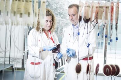 El hematólogo Eduardo Muñiz, experto en grupos sanguíneos raros, con una colaboradora en el Banco de Sangre de Cataluña.