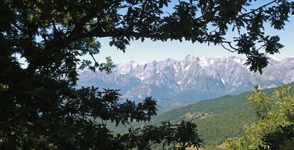 Bosque de hayas y robles en el municipio de Pesaguero, en la comarca de Liébana (Cantabria)