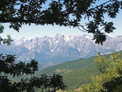 Bosque de hayas y robles en el municipio de Pesaguero, en la comarca de Liébana (Cantabria)