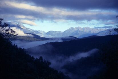 Pauji Yuyo, en el parque nacional Madidi (Bolivia), que se extiende a 1.300 metros de altitud de los Andes a la selva tropical amazónica.