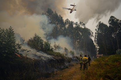 Incendios forestales