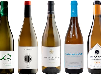 Cinco buenos vinos blancos gaditanos para tomar pescaíto frito
