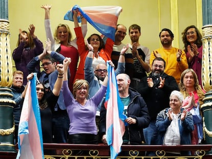 Miembros del colectivo trans celebran la aprobación de la 'ley trans', el pasado jueves en el Congreso.