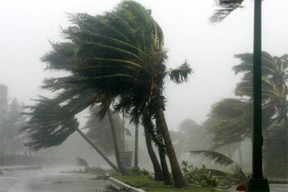 Los vientos del ciclón Wilma, con rachas de hasta 285 kilómetros, azotan las palmeras de un paseo de Cancún.