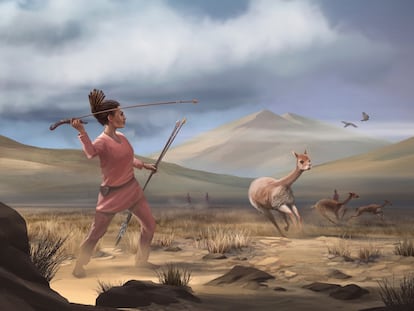 La ilustración muestra a una cazadora andina con su atlatl, un lanzavenablos anterior a la aparición del arco y la flecha.