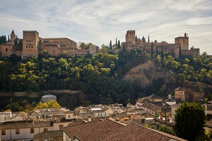 Vista del Tajo de San Pedro en el monte de la Alhambra.