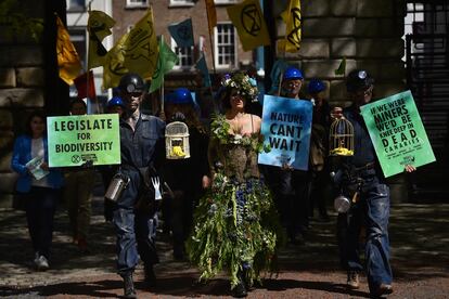 Un grupo de activistas de Extinction Rebellion protestan este miércoles durante una conferencia sobre biodiversidad celebrada en el Castillo de Dublín. Los manifestantes piden protección legal para la vida silvestre y la biodiversidad de Irlanda.
