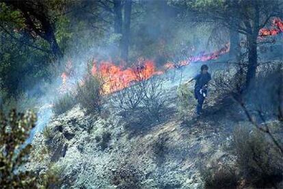 Una parte del bosque afectado por el incendio de ayer en la zona de Rocafort.
/ JOSEP ROJAS / REGIÓ 7
Labores de extinción del fuego entre La Palma y Cervelló.