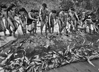 Kamayurás pescan durante Amuricumá, el festival