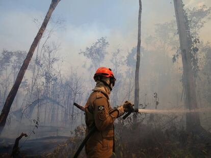 Un bombero apaga un fuego en Mato Grosso, Brasil, este miércoles. 