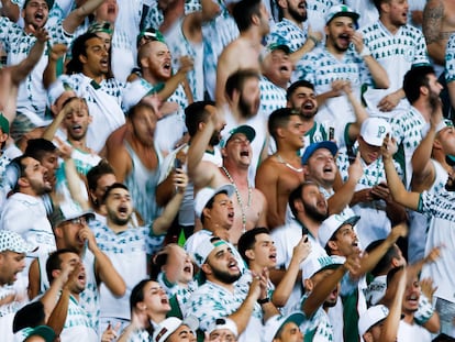 Aficionados del Palmeiras en el estadio Allianz Parque en São Paulo (Brasil).