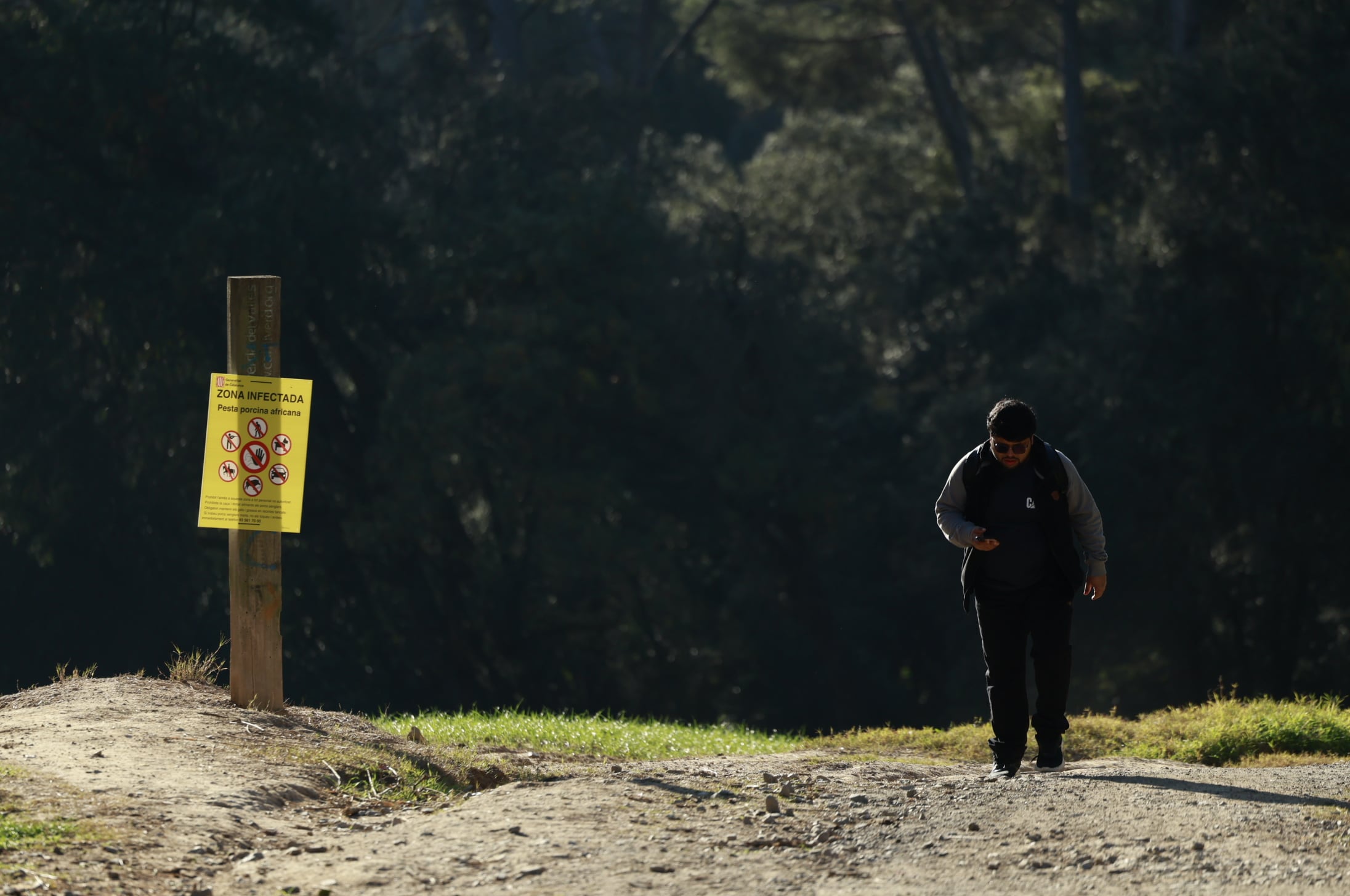 Vía Verde del Vallès a la altura de Bellaterra, zona infectada por la fiebre porcina, este lunes. 
