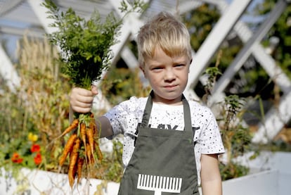 Un niño sujeta unas zanahorias. 