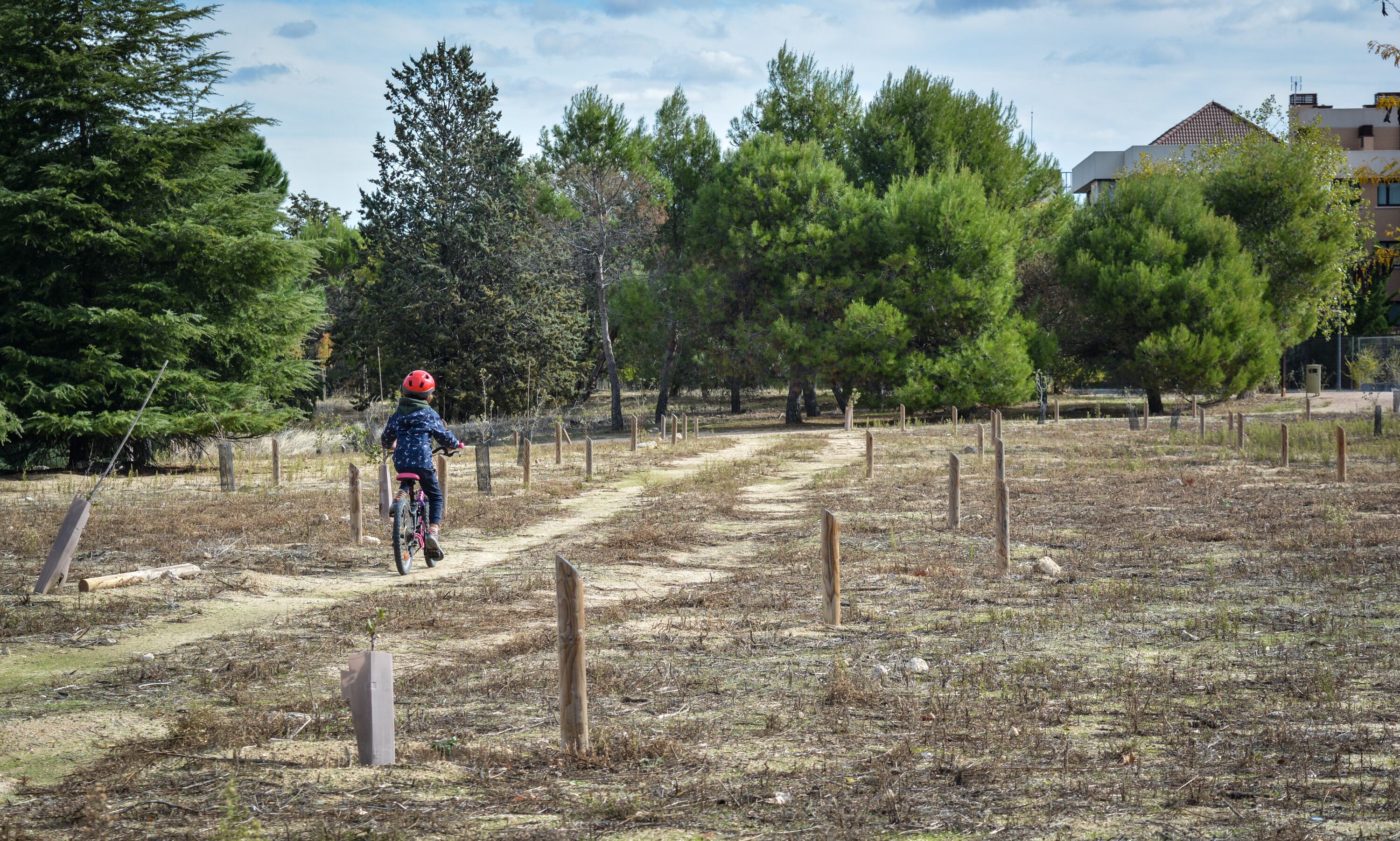 Un niño recorre el Bosque de la Vida en Pozuelo de Alarcón, el 26 de octubre de 2024.