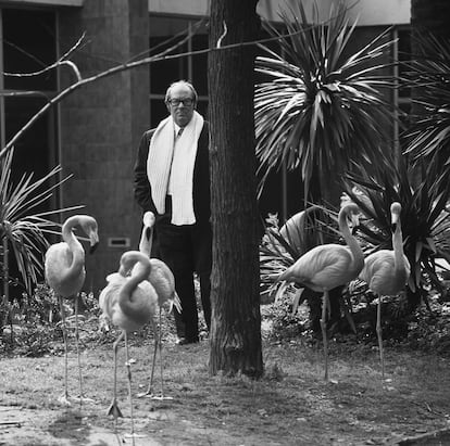 El poeta catalán Joan Vinyoli, en el zoológico de Barcelona, en 1976.