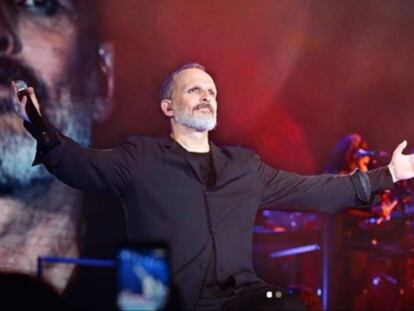 El cantante Miguel Bosé, en un concierto el pasado enero.