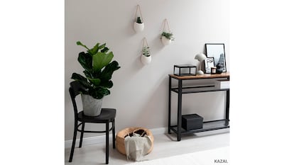 Macetas colgantes de pared sobre fondo blanco.