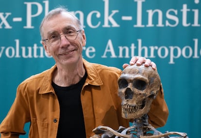 Svante Pääbo con la réplica de un esqueleto de neandertal en el Instituto Max Planck de Antropología Evolutiva, de Leizpig, tras ganar el premio Nobel.