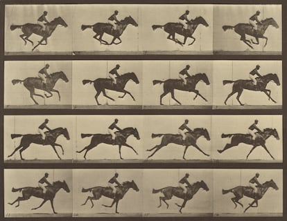 Eadweard J. Muybridge