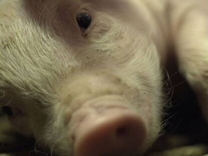 Una imagen del cortometraje 'M6nths'.