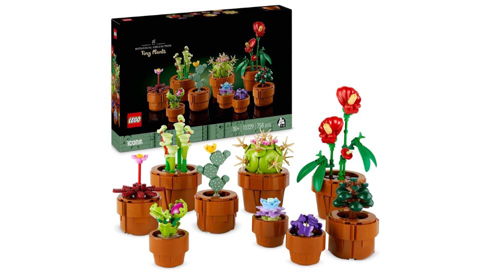 Colección botánica.