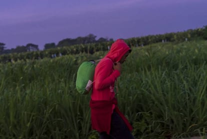 Un hombre parte de la caravana de migrantes centroamericanos.