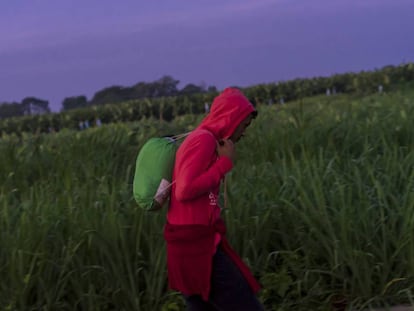 Un hombre parte de la caravana de migrantes centroamericanos.