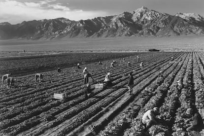 Imagen del fotógrafo estadounidense Ansel Adams (1902 1984) tomada en torno a 1943 en el Manzanar, en el valle de Owens, California, el más famoso de los campos de concentración en los que Estados Unidos confinó a 120.000 ciudadanos de origen japonés entre marzo de 1942 y noviembre de 1945 tras el ataque de Japón Pearl Harbour en diciembre de 1941. 