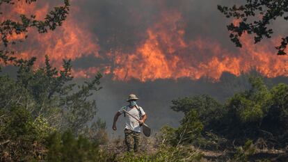 Flames burn the forest in the village of Vati, on the island of Rhodes (Greece).