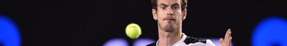 Murray se dispone a golpear la pelota.