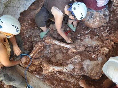 Imagen de los arque&oacute;logos trabajando sobre los huesos hallados del elefante en la cueva del Rinoceronte.