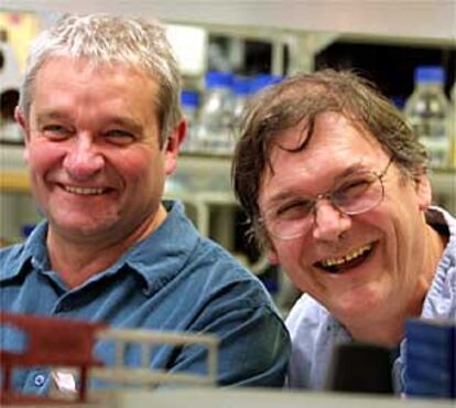 Paul Nurse y Tim Hunt (con gafas) en su laboratorio londinense.