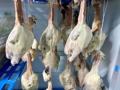 Aves en proceso de maduración recubiertas de Esencia Joselito en el restaurante A´Barra. J.C. CAPEL